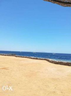 Apartment For Rent In As Soyouf Bahri - Qism El-Montaza - Alexandria