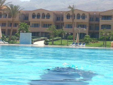 Holiday Villa For Rent In Qesm Than Madinet Nasr - Cairo