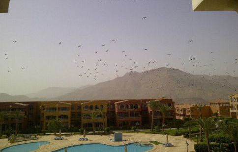 شاليه للإيجار فى العين السخنة - عتاقة - السويس