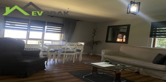 Apartment For Rent In Chankaya - Ankara