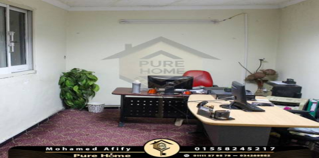 شقة للبيع فى جليم - قسم الرمل - الإسكندرية