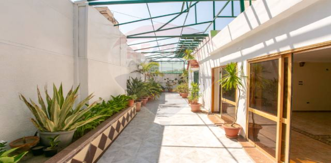 شقة للبيع فى ميامي - قسم المنتزه - الإسكندرية